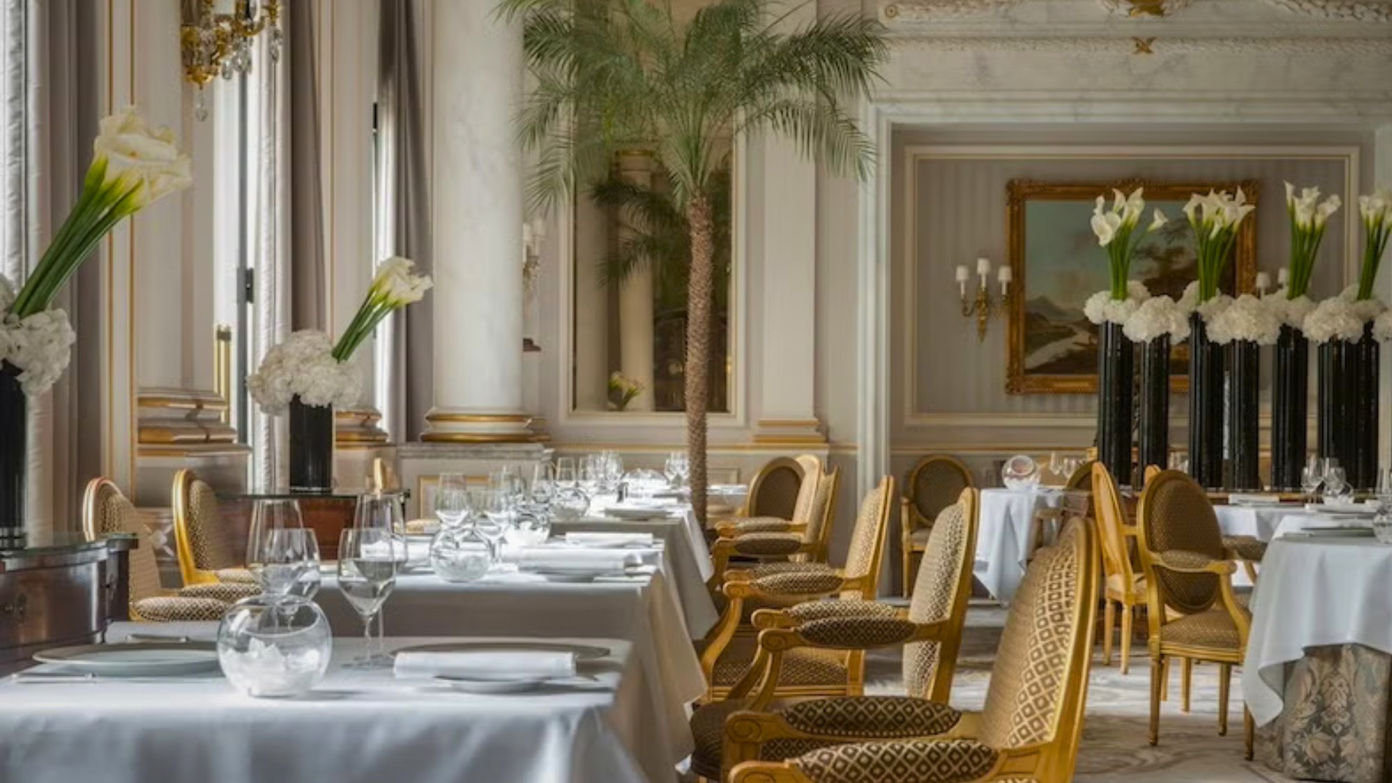 RestaurantStandards.com gives hospitality teams the insight they need to perform at the highest level.